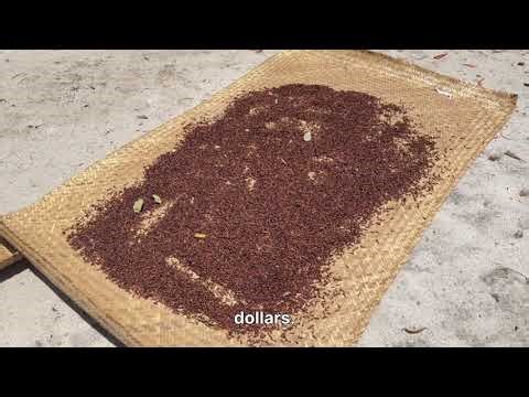 Madagascar – Island of Unique Wildlife & Natural Wonders | Adventure Travel