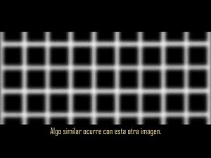 ¡Sorprendentes ilusiones ópticas! (con explicación científica)