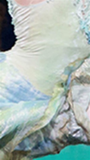 What is bro DOINGGGGG