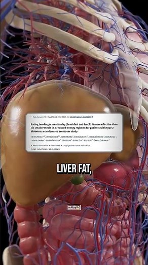 Stop eating 6 small meals a day to fix your diabetes