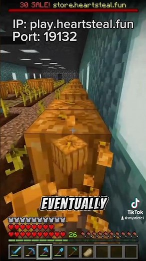 The Best Way to Earn Money on Lifesteal SMP