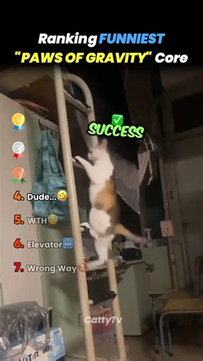 Ranking FUNNIEST PAWS OF GRAVITY Core 🐾🧑🏼‍🚀