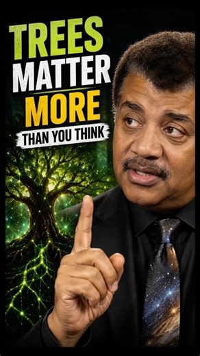 Trees Are More Alive Than You Think