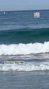 Check out this neat video of a fin popping out of the water at Wells Beach on Tuesday! #MyMaine | WGME CBS 13 News, Portland