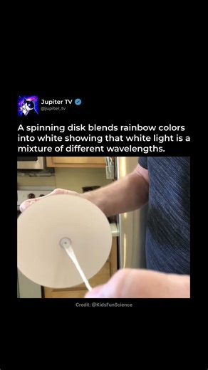 Newton’s Disk 🎨