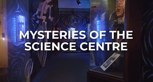 5.6K views · 28 reactions | Double the fun this February at Science Centre with 1-for-1 ticket prices! Perfect for a family outing or a date night–come explore and discover the wonders of science! 朗 Book now at https://www.science.edu.sg/visit-us/promotions/feb-ulous-2-promotion ✨ #sciencecentresg | Science Centre Singapore | Facebook