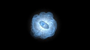 Human Organs Anatomy Body Parts Animation Stock Footage Video (100% Royalty-free) 3475133739 | Shutterstock