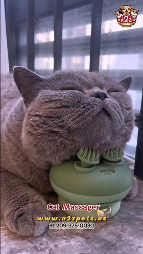 Ultimate Relaxation for Your Cat! | Cat Massager from A2Z Pets