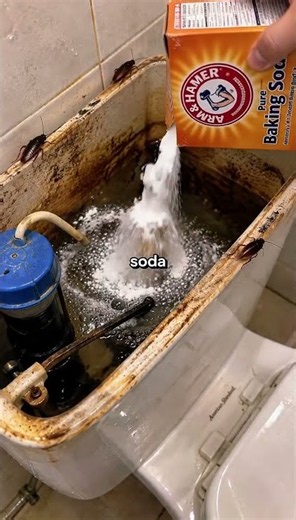 How to Clean a Dirty Toilet Tank in 3 Easy Steps! 🚽✨ #cleaning #shorts #cleanwithme
