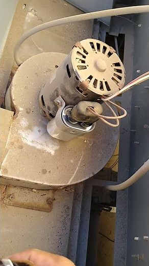 Heater won't start, blower capacitor replaced. Hayward heater.