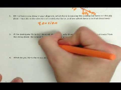 Physics 1 - Circular Motion - Lab 1: Flying Pig Lab (Part 1 - # 1-6)