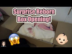 SURPRISE! Reborn Baby Box Opening! | Kelli Maple