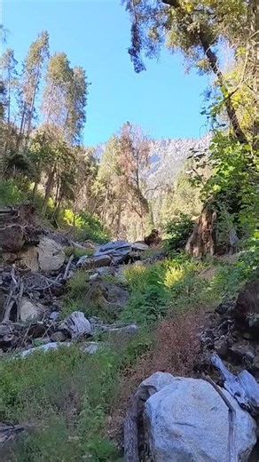 Garfield Grove Trailhead Sequoia National Park #travel