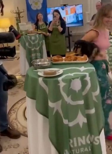 You've been hit by a smooth criminal . . . . . . . . . . . . . . . . . . . #fun #memes #funny #reels #instagood #reelsinstagram #video #reelsfb #reelsfb #viral #viralreels #viral #view #vida #videos #viralvideo #reels2023 #reelsviral #reelsvideo #reelsinstagram #reelsviral #reelslovers #meme #memes😂 #mexico #mesfunny #memesdaily #memeaccount #memelord #memepage | Memes & Reels