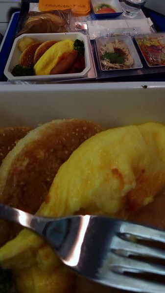 #ANA #国際線 #プレエコ 席の #機内食 例