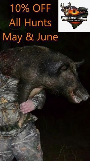 Fair Chase South Carolina Hog Hunts - Williams Hunting