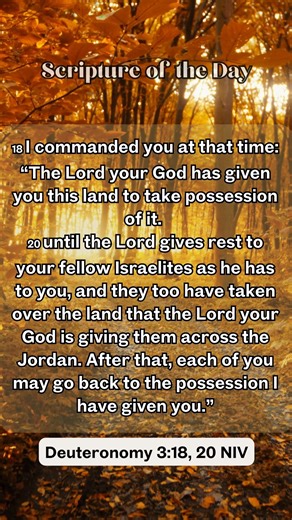 Thought of the Day There is often a process that takes place between a Word from God and the promise He's given. Don't despise the messy middle. It is the sacred space where the LORD equips us and strengthens us to hold and steward what He is preparing to place into our hands. | The Shepherds House International | Facebook
