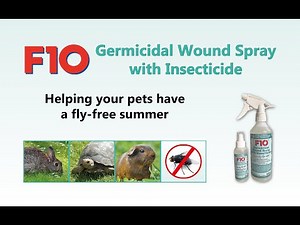Preventing fly-strike with F10 Germicidal Wound Spray with Insecticide