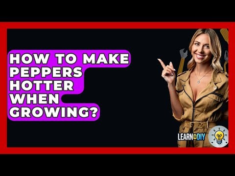 How To Make Peppers Hotter When Growing? - LearnToDIY360.com