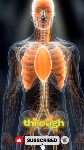 Eat 1 Almond & This Happens Inside Your Body