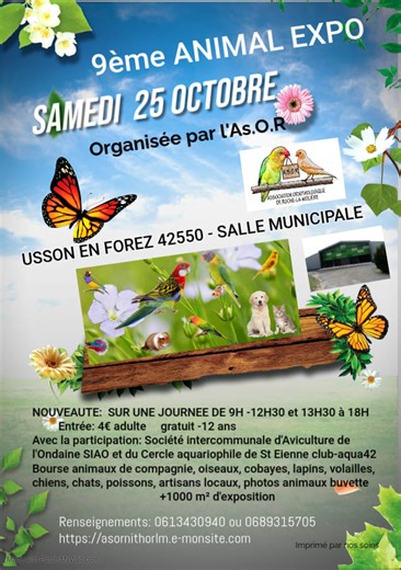 Bonjour nous sommes présents à la bourse d' animaux de compagnie à Usson en forez #pourtoi #aquarium #chien #chat #oiseaux | Fishandshrimp