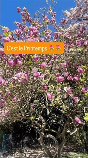 It's Spring, the NEW ASTRO YEAR: the great equinox battle for a FREE humanity!