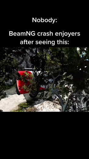 How to trigger an entire community with one video😈 #beamngdrive #beamng #beamngmemes #shutthehellup #foryoupage