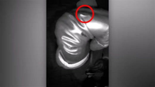 No match in FBI database for DNA on glove found near Guthrie home