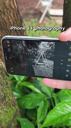 Exploring iPhone 11 Camera Features