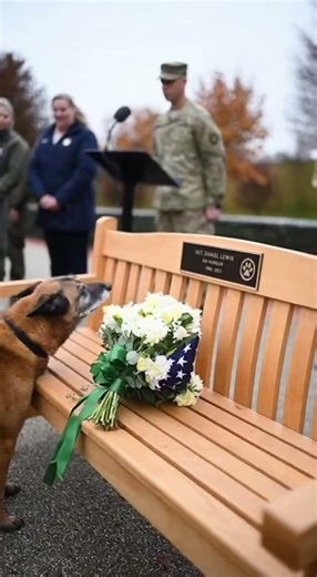 This military K9 saying a final goodbye to his fallen handler. 💔
