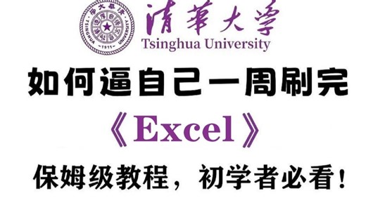 Excel保姆级教程 | 清华大佬198小时讲完的Excel 内部培训教程 | 全程干货无废话 | B站最用心的Excel零基础系统教程 | 7天掌握办公软件!