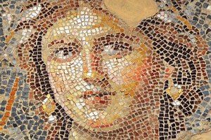 Using marsupials to understand the evolution of mammalian X inactivation