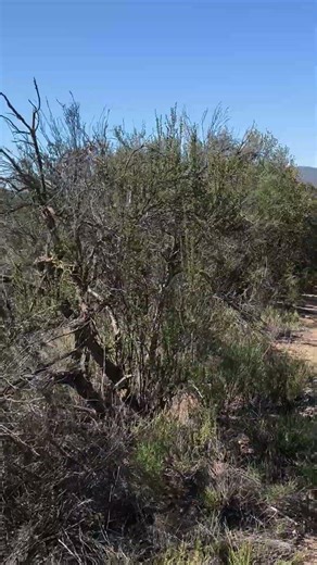 crossing a gate on trail