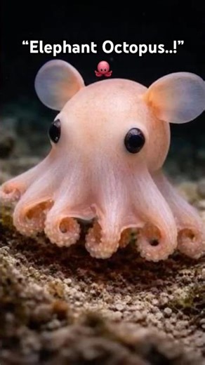 3 Unknown Sea Creatures 😳 #deepseacreatures#oceanfacts#seaanimals#naturefacts#tamilfacts#shorts