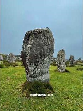 Why Are There So Many Megaliths?