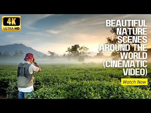 🌍 The Beauty of Nature | Stunning Landscapes & Peaceful Moments in 4K