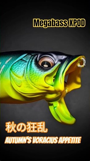 【バス釣り】旬の釣り方｜Megabass XPOD｜秋の狂乱 #shorts #bassfishing #XPOD