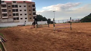 Are you bored? This is for your to repeat and repeat, enjoy your time  @gladiators_team @ali.h.rizk with LAKANO #Showjumping #Horse #horseofinstagram | Gladiators Horse Riding Club | Facebook