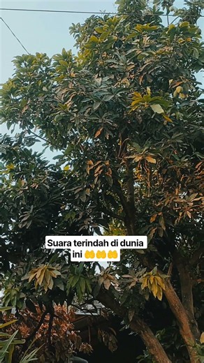 sejenak mendengarkan suara terindah di dunia ini #adzanmerdu