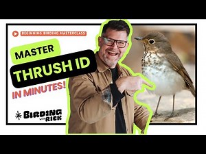 How To Identify Thrushes the EASY way