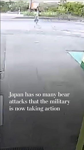 Japan has so many bear attacks that the military is now taking action