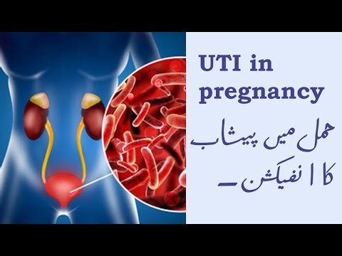 Urinary tract infection (Urdu/Hindi)