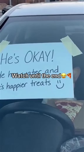 Funny Animal Moments That Will Make You Laugh