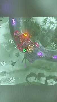 The Spring of Wisdom & Jitan Sa’mi Shrine Guide: Free Naydra in Zelda: Breath of the Wild!