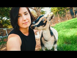 She's a DANGER to the GOATS -- so we made a tough decision.