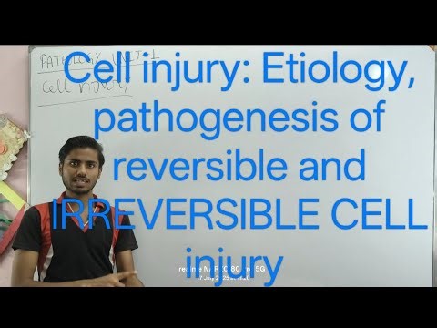 Cell injury etiology and pathogenesis of reversible and IRREVERSIBLE CELL injury, what is reversible
