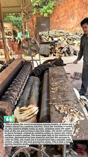 This is the process of peeling bark using an automatic machine.
