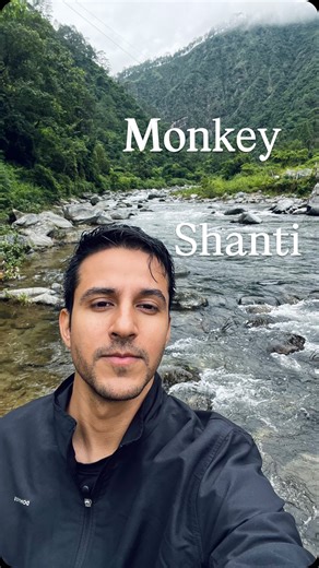 Pranay Singh Pachauri on Instagram: "Monkey Shanti 🦧 It’s amazing how effortlessly i reconnected to my inner child, rewired my mind and rose above all the internal mindless monkey chatter trekking through this dense jungle as it rains. Realising time and again that the point of life is to Pause, Reflect and Relax and only nature has that power and beauty to hold you in pure bliss ❤️ What gives you that feeling of Pure Bliss ? #therapy #mountains #jungle #rainforest #monsoons #uttrakhand #trek #