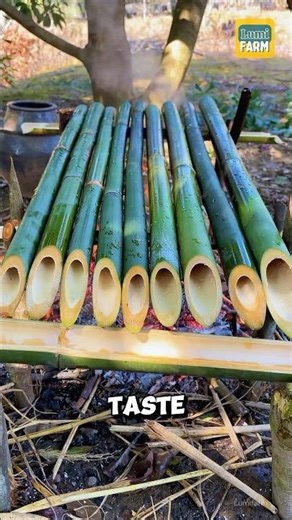 Why do the Chinese like to drink bamboo water? #bamboo #shorts