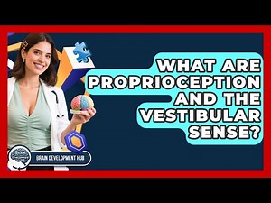 What Are Proprioception And The Vestibular Sense? - Brain Development Hub